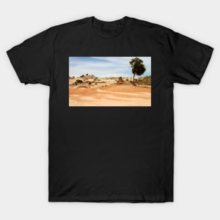 Pinnacles by Day T-Shirt